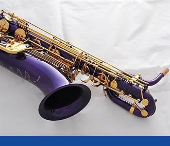 Amazon.co.jp: SHUNTIAN プロの紫とゴールドバリトンサックスサックス